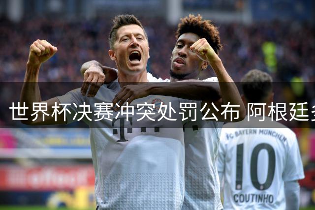世界杯决赛冲突处罚公布 阿根廷多人遭禁赛罚款