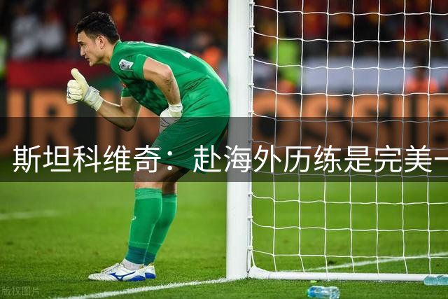 斯坦科维奇：赴海外历练是完美一步 我梦想为塞尔维亚征战世界杯